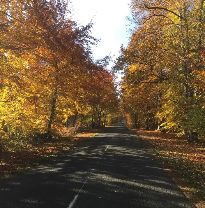 capture d’écran 2026 02 28 215724